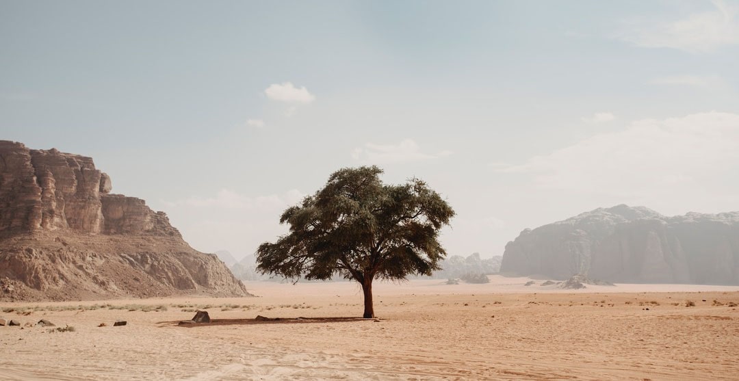 A picture of a calm desert landscape