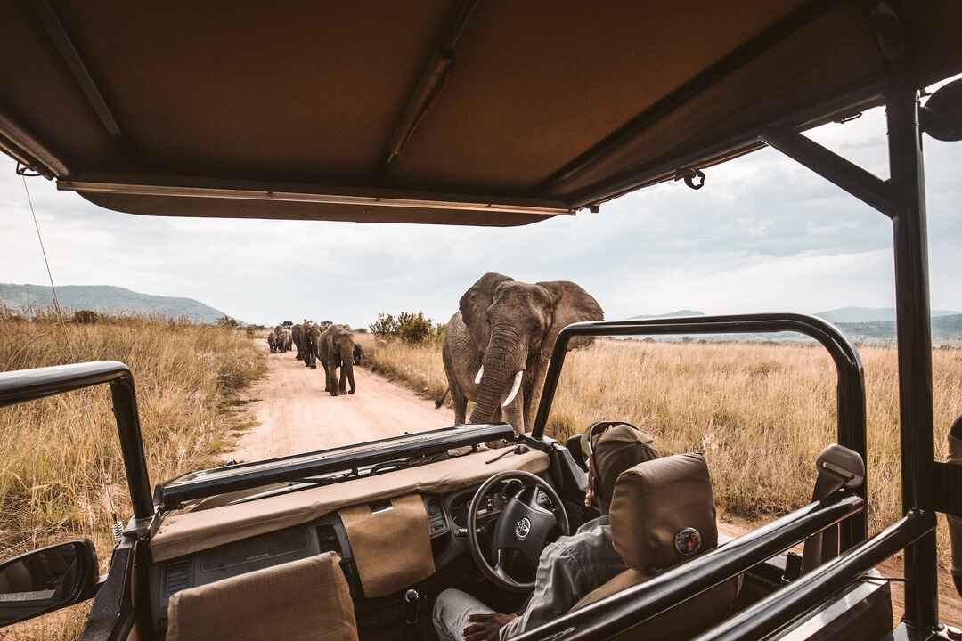 picture of an African safari jeep
