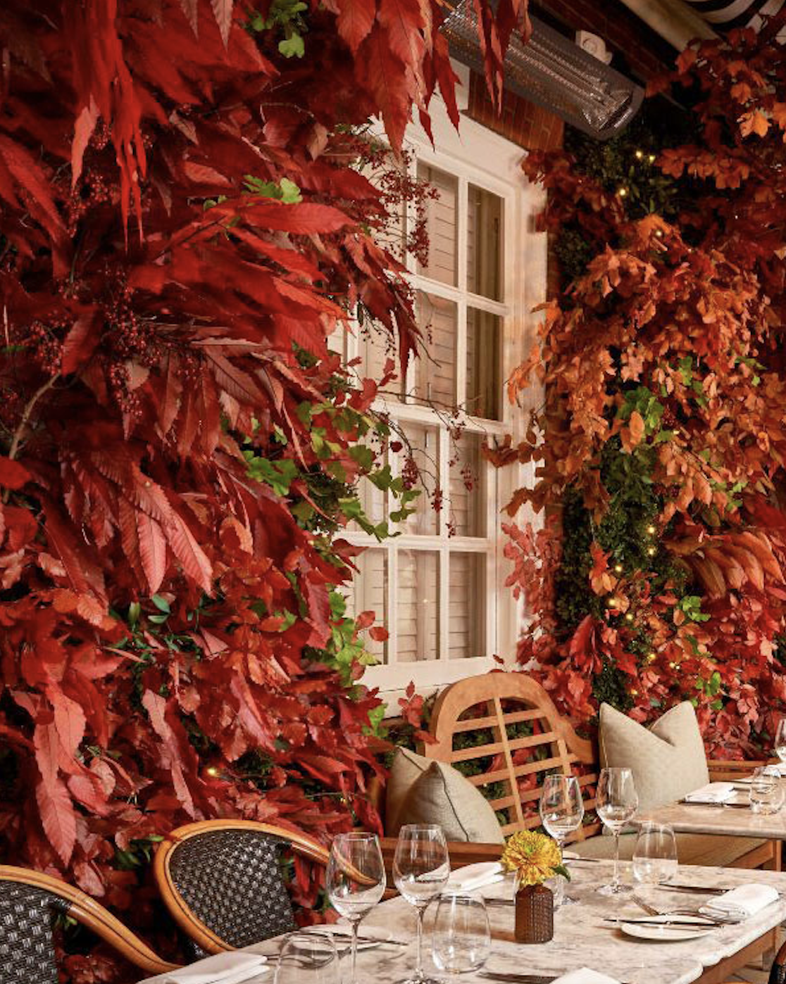 London Floral Restaurants - Mr foggs house of botanicsals