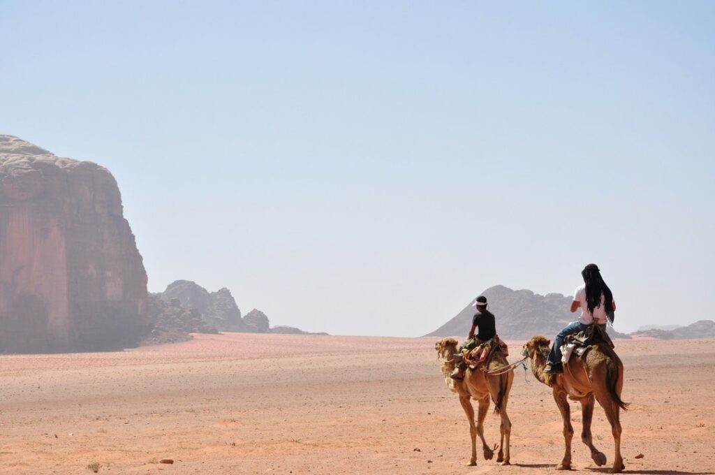 two camels in Wadi Rum