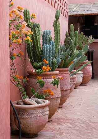 Outside an all-inclusive resort Marrakech Morocco